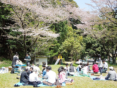 お花見2012年度－1