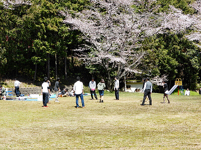 花見2014年度－5