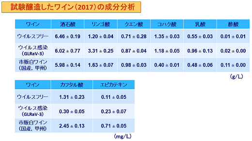 試験醸造したワイン（2017年）の成分分析