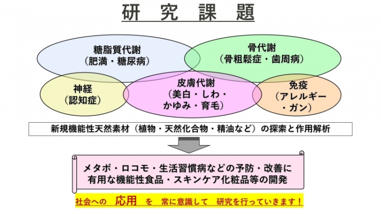 研究課題