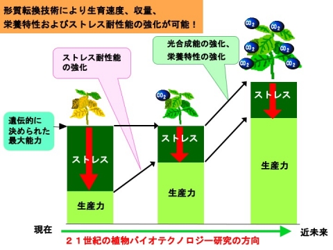 研究紹介－3