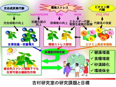 研究紹介－4