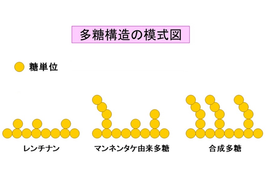 Study-1-fig