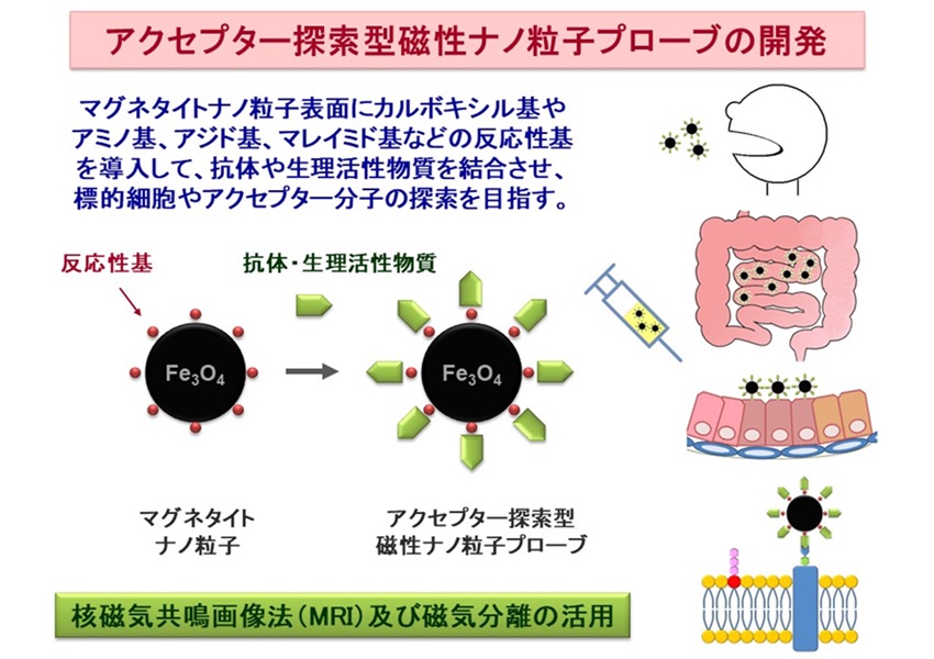 Study-3-fig