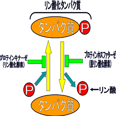 図1